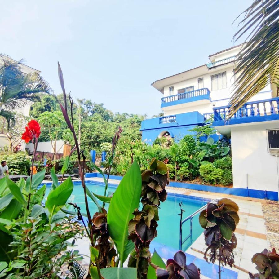 Amazing Hilltop 4 Bhk Villa With Private Pool Near Candolim Εξωτερικό φωτογραφία