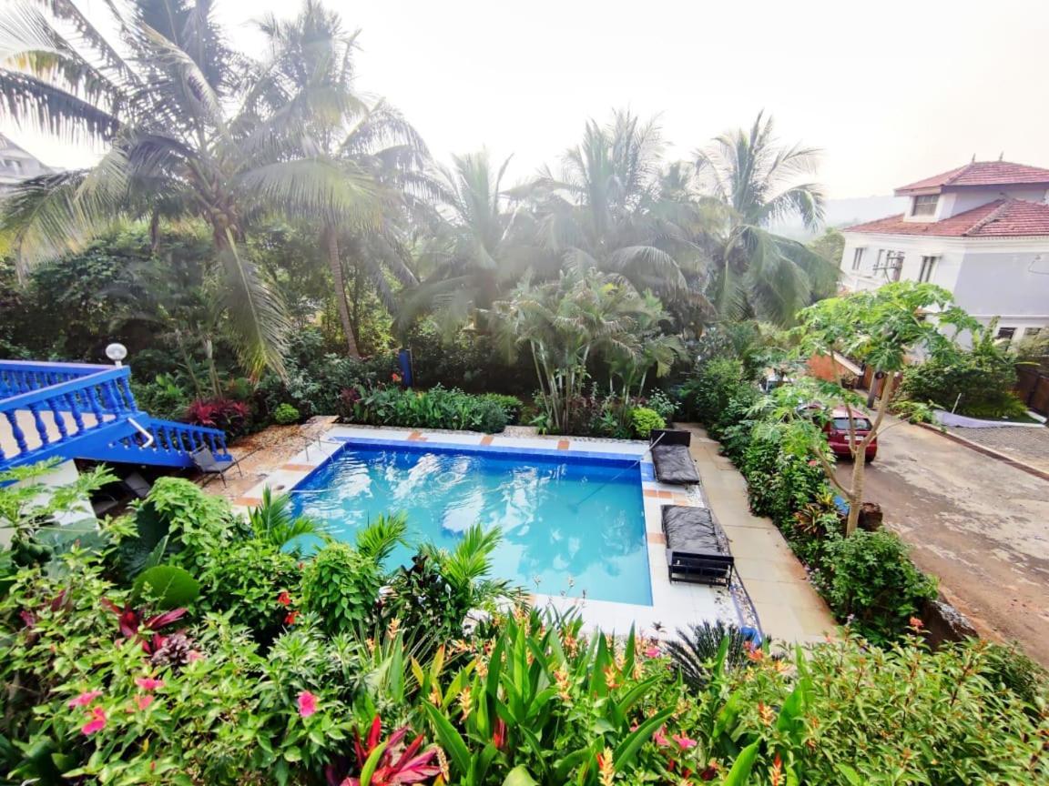 Amazing Hilltop 4 Bhk Villa With Private Pool Near Candolim Εξωτερικό φωτογραφία